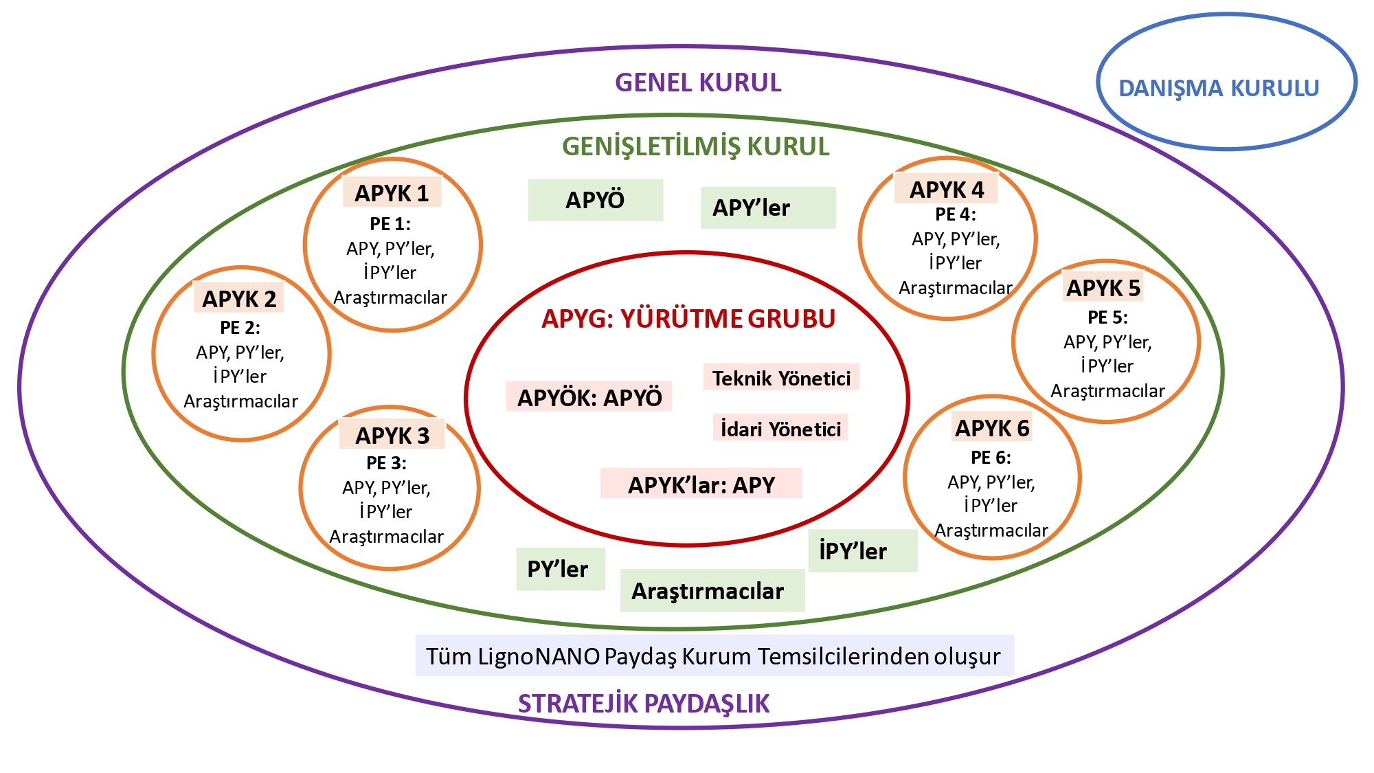 Organizasyon Şeması