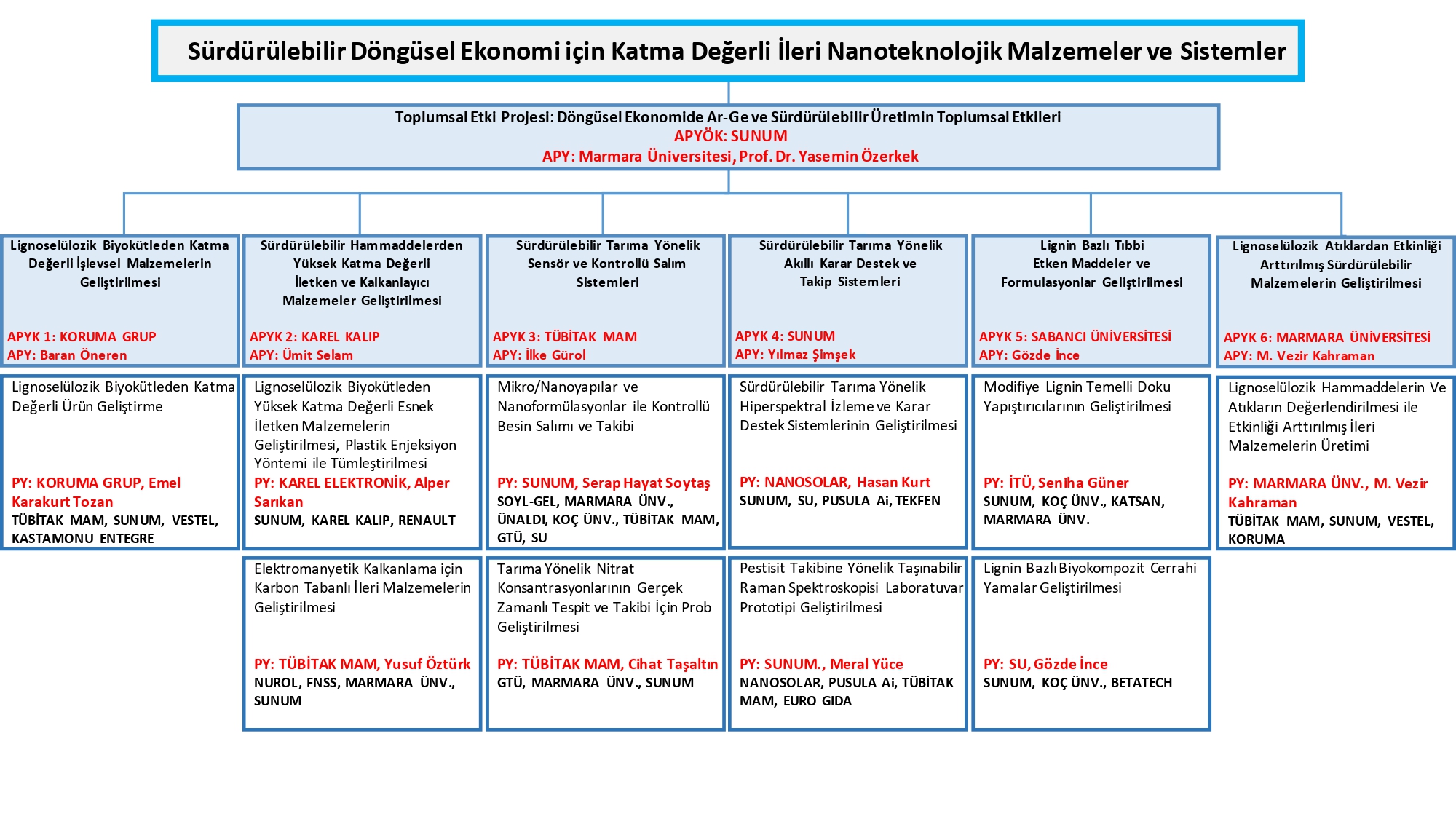 Organizasyon Şeması
